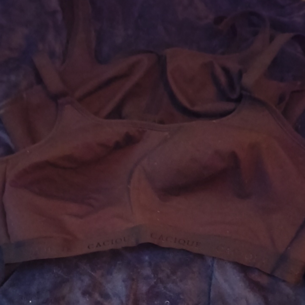 Cacique Dark Brown Active Bra